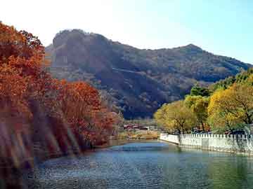 管家婆免费正版资起大全，ca1950